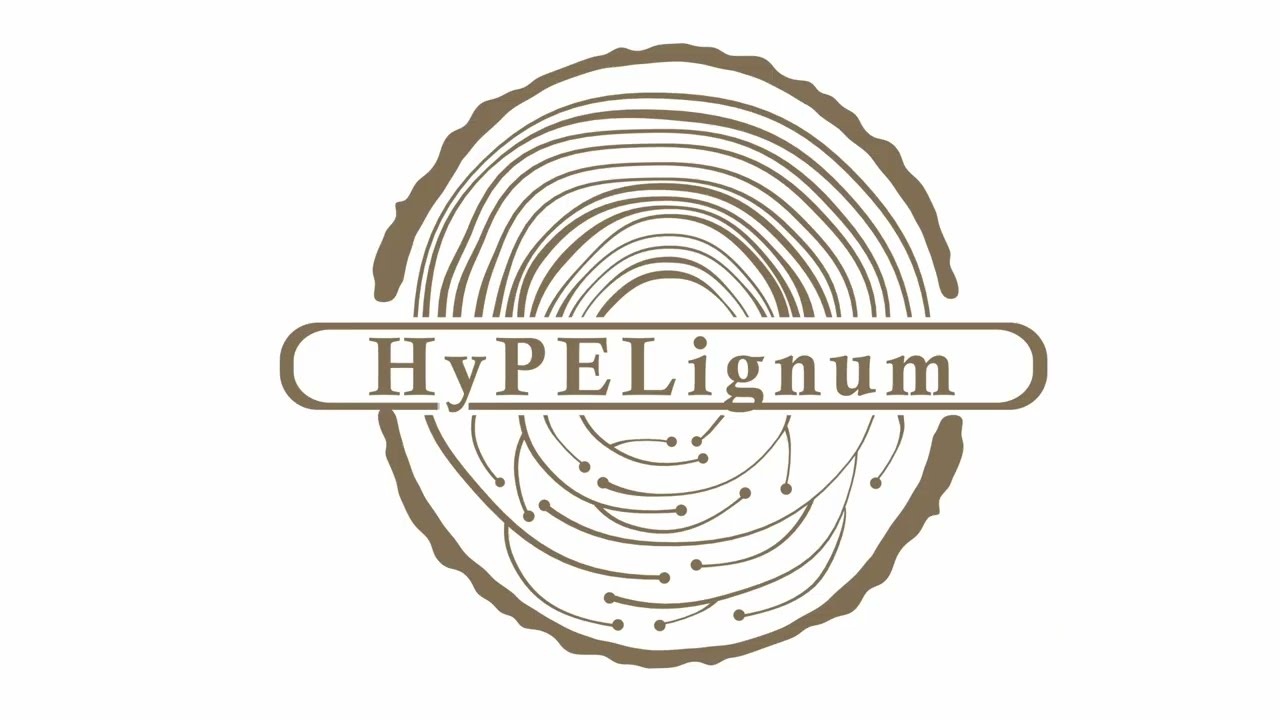 Plywood Printed Circuit Boards