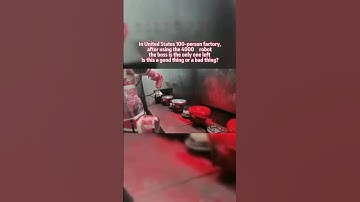 Industrial robot #automobile #machine #robot #industrial #spraying #vietnam