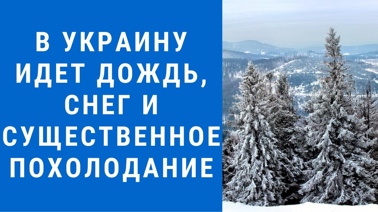Погода на завтра моторное