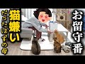 猫嫌いな母に2泊3日で猫たちを任せたらまさかの光景が広がってました