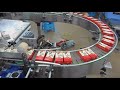 Peach slice packaging line automation solutions