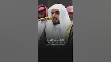 ﴿وَذَكِّرْ فَإِنَّ الذِّكْرَى تَنْفَعُ الْمُؤْمِنِينَ﴾ #quran #الوليد_الشمسان #سورة_الذاريات
