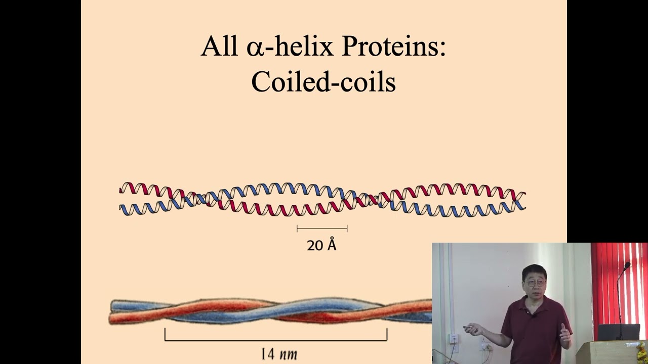 L 04 Introduction to protein structures, basic concepts on Domains, motifs, and folds in protein