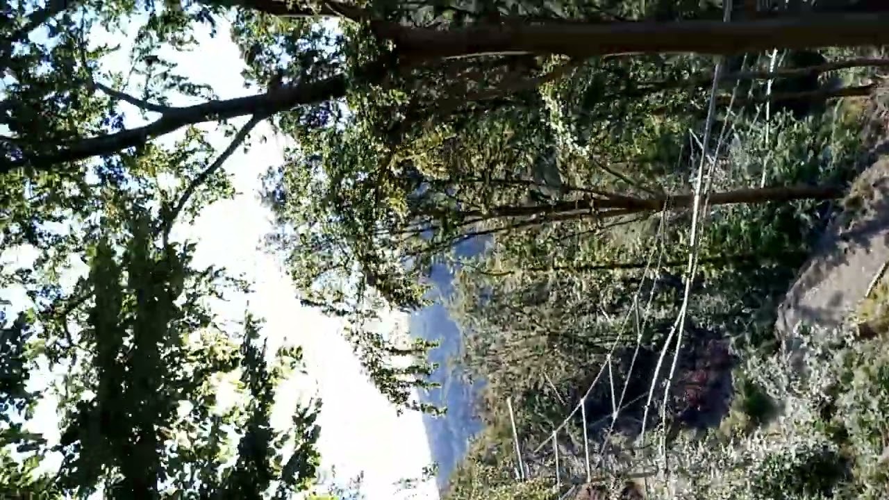 06.06.2022 Bad Harzburg, Deutschland