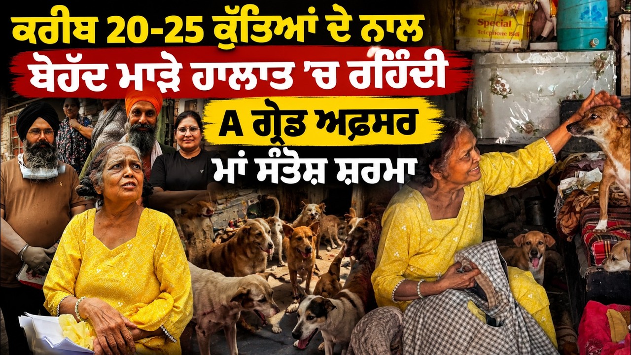 ⁣Manukhta Di Sewa Society Ludhiana ਮਨੁੱਖਤਾ ਦੀ ਸੇਵਾ ਸੱਭ ਤੋਂ ਵੱਡੀ ਸੇਵਾ