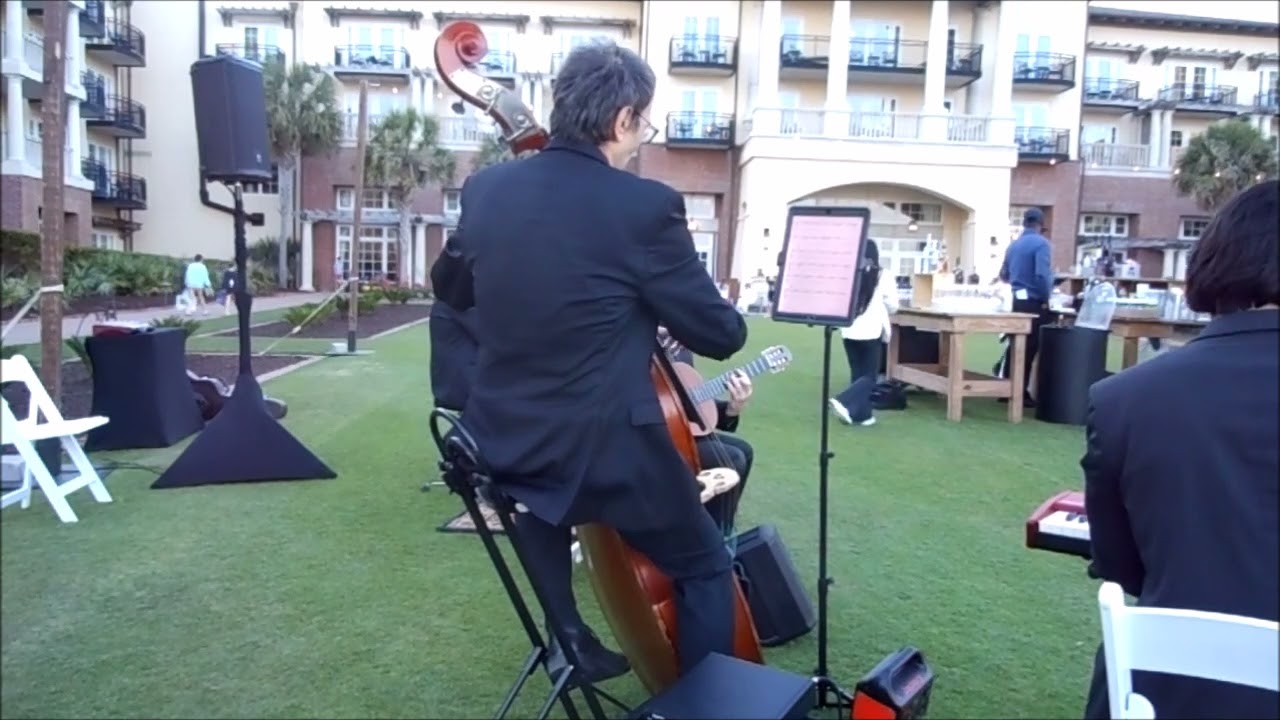 steely dan   www.lowcountrystrings.com