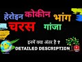 What is difference between bhang ganjamarijuana charas hash opiumafeem heroine and cocaine 