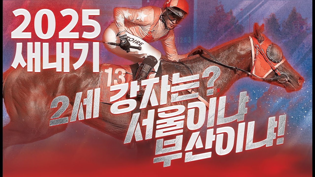 로열더비 스토리 vol.208 #로열더비 #이슈  #경마