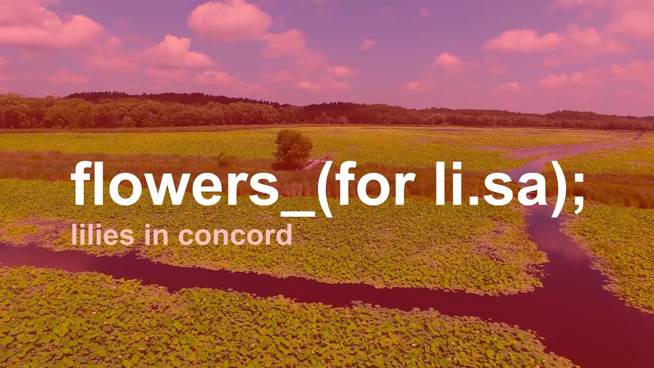Flowers for LISA YouTube