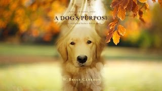 A DOG'S PURPOSE - ANIMAL ABUSE, HYPOCRISY AND COGNITIVE DISONANCE