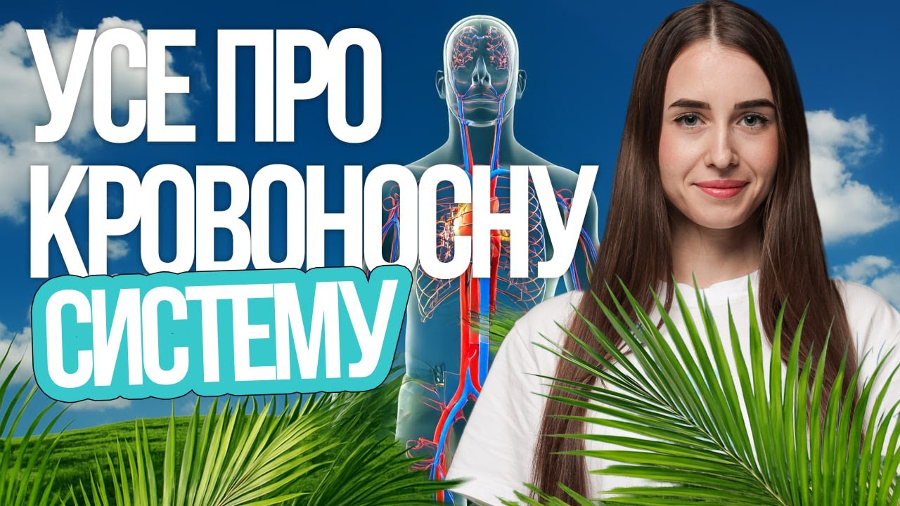 🩵 Зібрала для вас усі типи відповідностей НМТ з біології | TURBO ZNO | Підготовка до НМТ