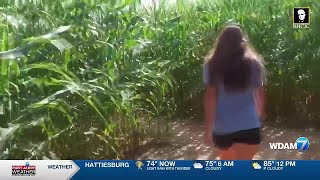 Alpha-gal, tick illness risks rise in Mississippi