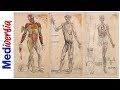 La anatomía humana ¡como nunca antes! | Andrés Vesalio