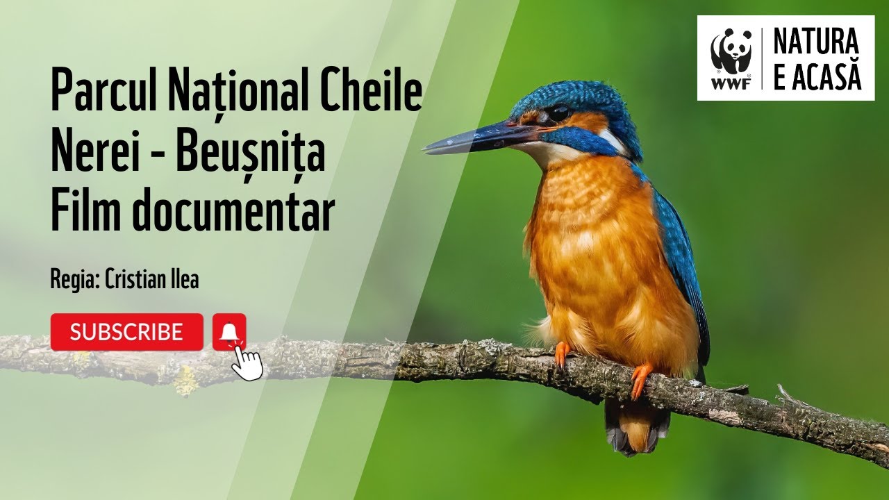 Parcul Național Cheile Nerei - Beușnița_documentar