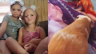 My Cheeis Wiggle When I Fart