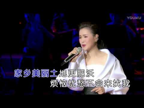 王紫菲【一条河】现场版MV