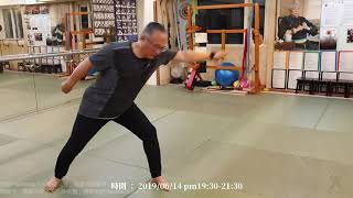 【八卦套路教學】【20190614(06)】一翻全身而動的力