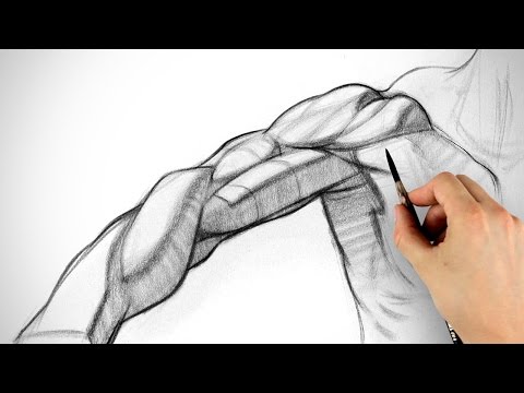 How to Draw Arms - Biceps Assignment Example