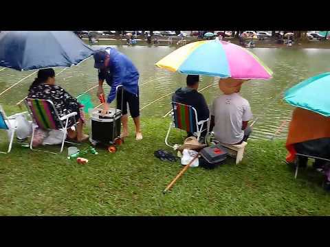 CAMPEONATO DE PESCA 2019 - ARTUR NOGUEIRA 70 ANOS (P3)