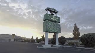 Reno Massage Tree - Welcome