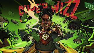 Wizz Havinn -  Trash Bags (Official Audio)