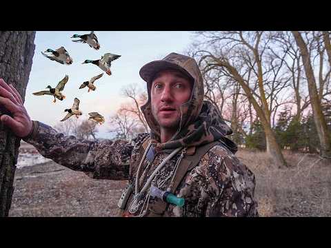 Hunting Nothing But Mallards On A Farm Pond!!
