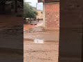 المعازيز_كلها_دمار