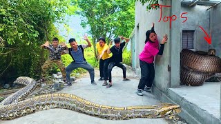 Top 5 Times Brave Hunters Risked Their Lives to Save a Girl from Giant Python Attacks