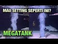 MAU AQUARIUM AERATOR SEPERTI INI? MEGATANK IKAN HIAS / PREDATOR