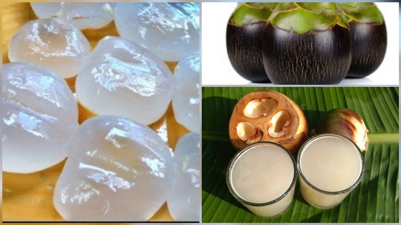 നൊങ്ക് ജ്യൂസ്‌ പ്രമേഹം കുറക്കാന്‍ /Palmyra Palm Fruit Juice Recipe/Best Fruit For Diabetics