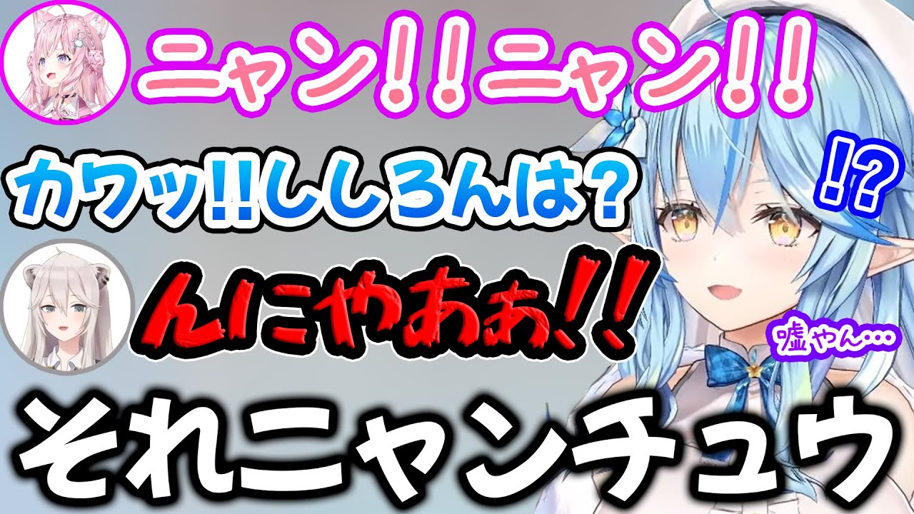 あまりに違い過ぎるダメージボイスに思わずツッコんでしまう雪花ラミィ【ホロライブ/ホロライブ切り抜き】