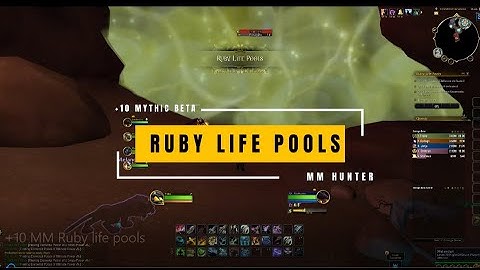 10+ Ruby Life Pools | Marksmanship Hunter | Dragonflight Beta M+