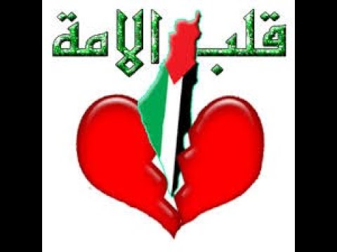 علي الكوفية محمد عساف