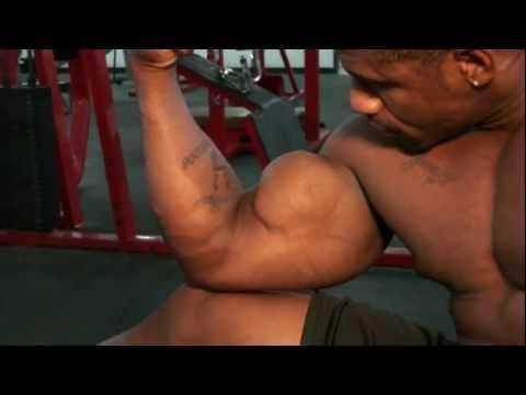 muscular endurance The arms of August - Four bodybuilders and a physique competitor train, pose biceps