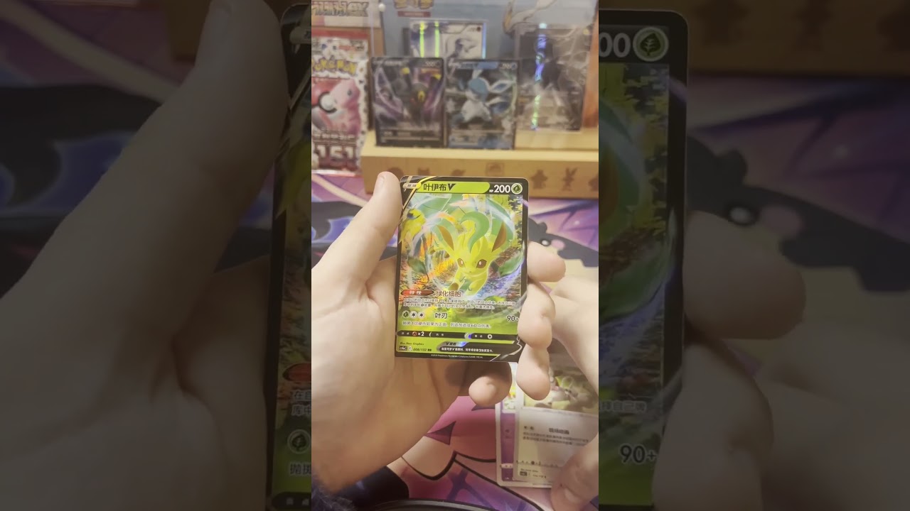 OUVERTURE DISPLAY EVOLUTION CELESTE ! 