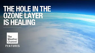 Scientists Confirm Ozone Layer Is Getting Back On Track