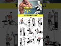Full Body Workout at Home Equipment | Burn Fat & Build Muscle Fast #FullBody Workout #HomeWorkout