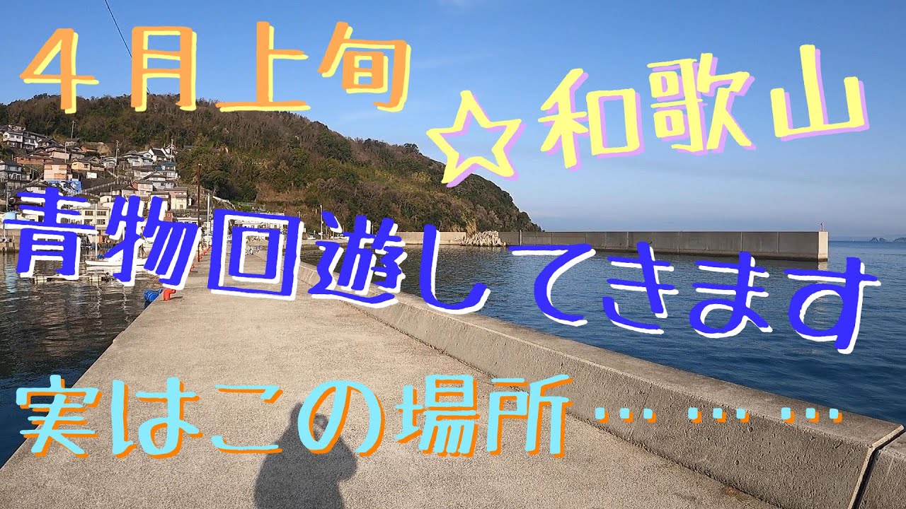 ショアジギング 4月上旬 和歌山 堤防 言いたくないですが 青物回遊します W Youtube ショアジギング 4月上旬 和歌山 堤防 言いたくないですが 青物回遊します W Youtube