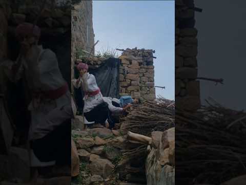 تعمل خير تلقى بيت العنكبوت هارون غالب فاروق المليكي الزعيم دراما عودة بيت العنكبوت