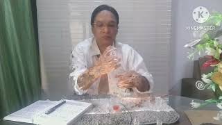 (English) Formulation of Synthetic Oud Oil