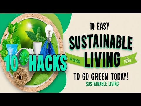 Website Sustainability:  The Complete Guide To Going Green