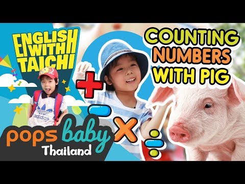 🐷 ไธชิ สอนภาษาอังกฤษ  Ep.16 Counting Numbers With PIG 🐷English with TaiChi  l POPS Baby Thailand