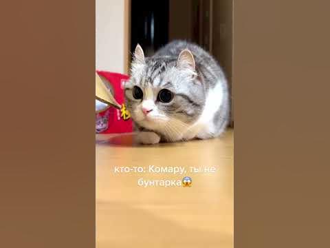 #комару - YouTube