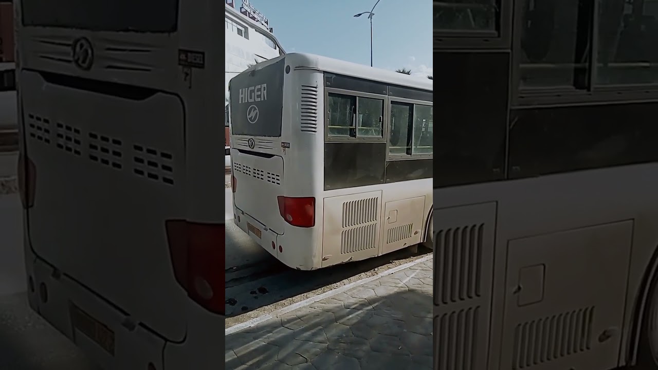 annaba 2026 كلية الطب عنابة 