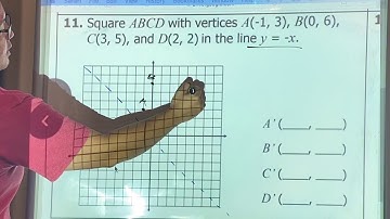 Reflecting Across a Diagonal Line Y= -X