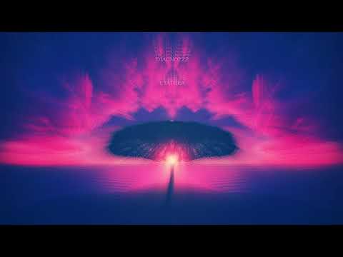 DIAGNOZZZ - Статика