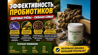 Эффективность пробиотиков?