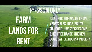 Farm Land For Rent