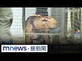比特犬案件