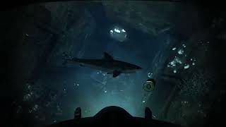 shark with commando pro 2
